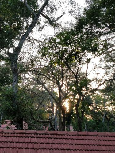 Hotel The Birchwood Retreat, Madikeri