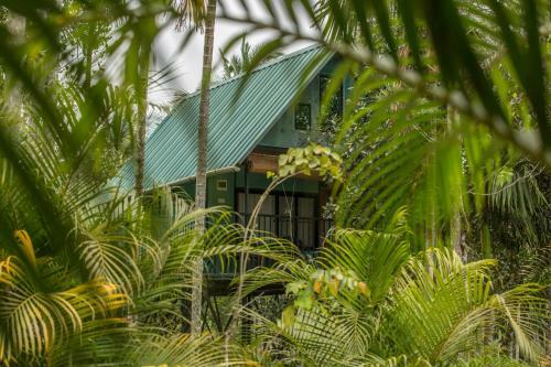 Hotel Kedara Village