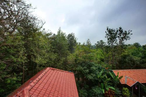 Hotel Paddington Resorts And Spa