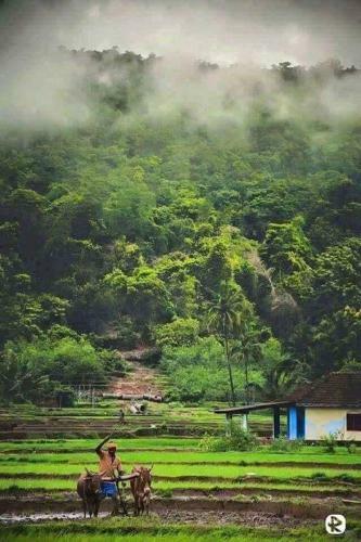 Manuvan Homestay