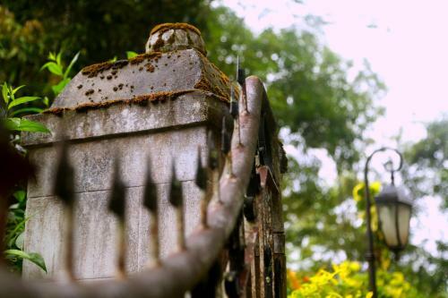 Hotel Old Kent Estates & Spa, Coorg