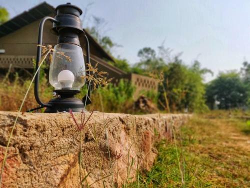 Hotel Maati Jungle Lodge Resort Bandhavgarh
