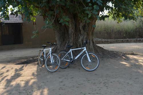 Hotel Maati Jungle Lodge Resort Bandhavgarh