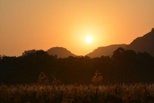 Hotel Maati Jungle Lodge Resort Bandhavgarh