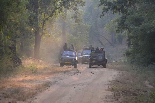 Hotel Maati Jungle Lodge Resort Bandhavgarh