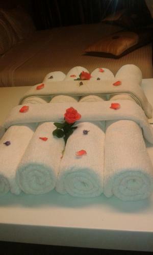 Sri Janakiram Hotels