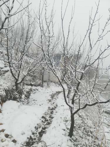 Hostal Sanjivani Home Stay