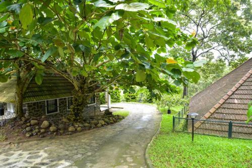 Agroturismo Hotel Treetop