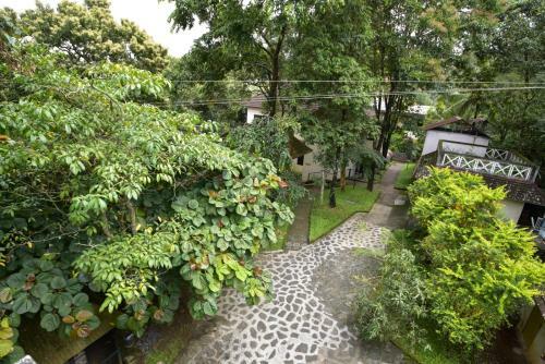 Agroturismo Hotel Treetop