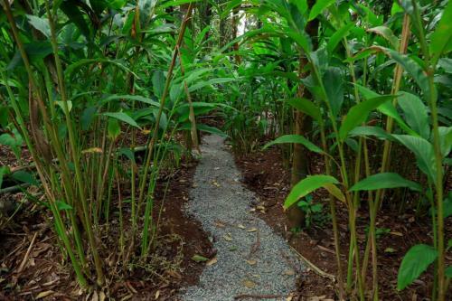 Hotel Lee Wood Villas