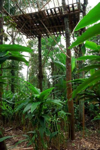 Hotel Lee Wood Villas