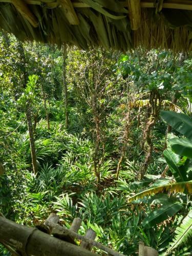 Hotel Lee Wood Villas