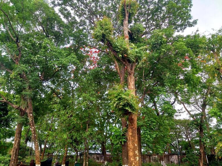 Hotel Polo Orchid Tura