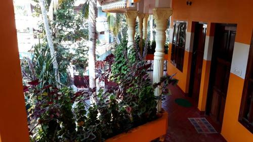 Thriphala Ayurveda Yoga Ashram