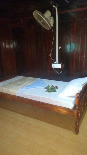 Thriphala Ayurveda Yoga Ashram