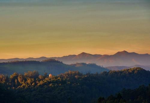 Villa Mist Resorts Ooty