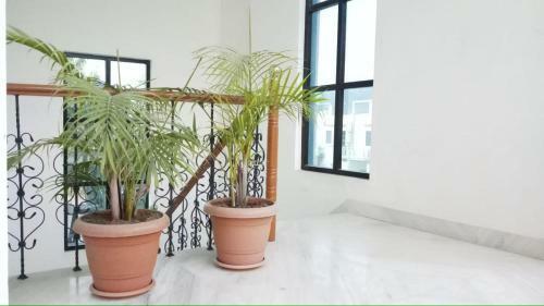 Rajpura House - Private 1st Floor