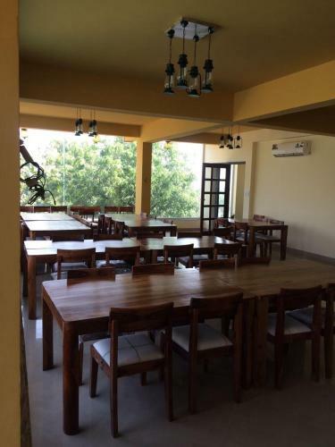 Hotel The Space Jungle Retreat