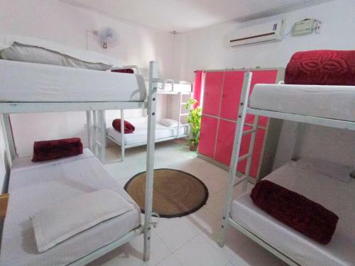 The Hostel Crawl