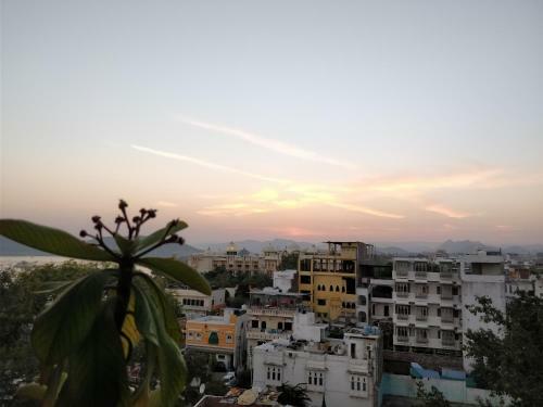The Hostel Crawl
