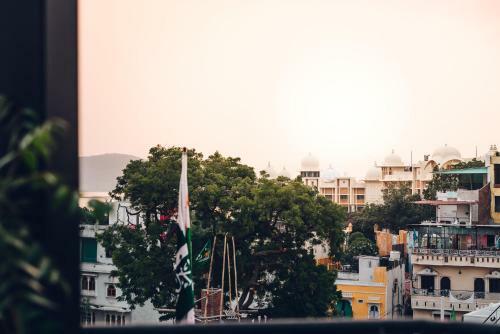 The Hostel Crawl