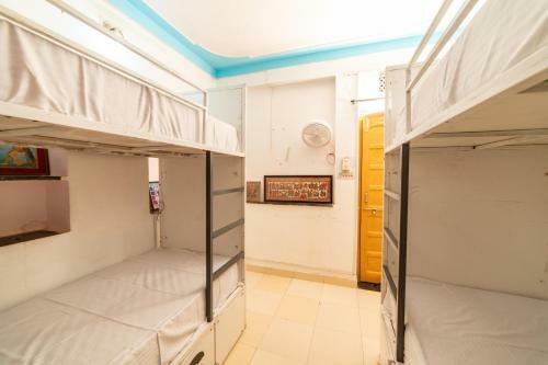 Hotel Backpacker Panda Udaipur