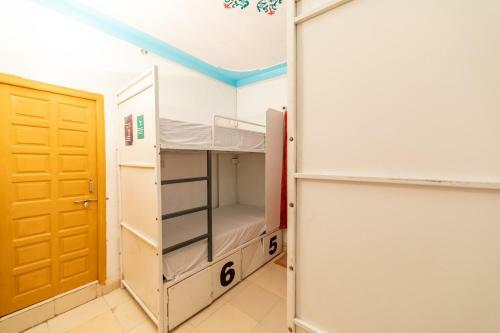 Hotel Backpacker Panda Udaipur