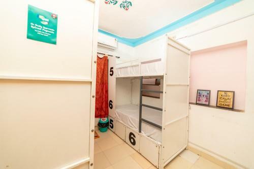 Hotel Backpacker Panda Udaipur