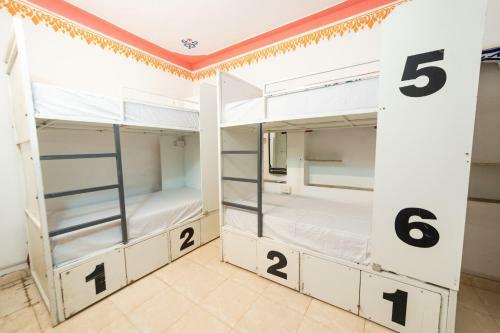 Hotel Backpacker Panda Udaipur