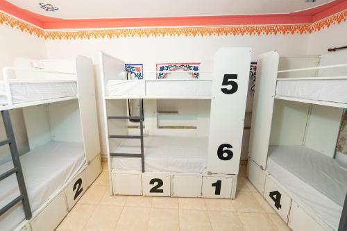 Hotel Backpacker Panda Udaipur