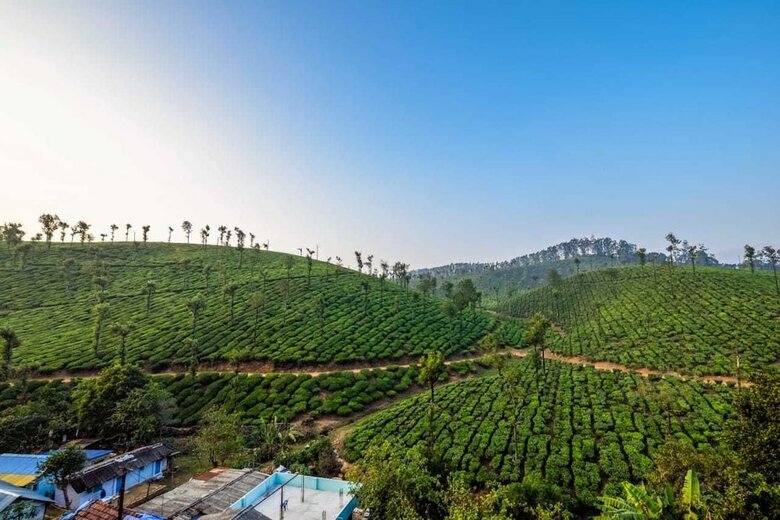 Hotel Maryland Homestay