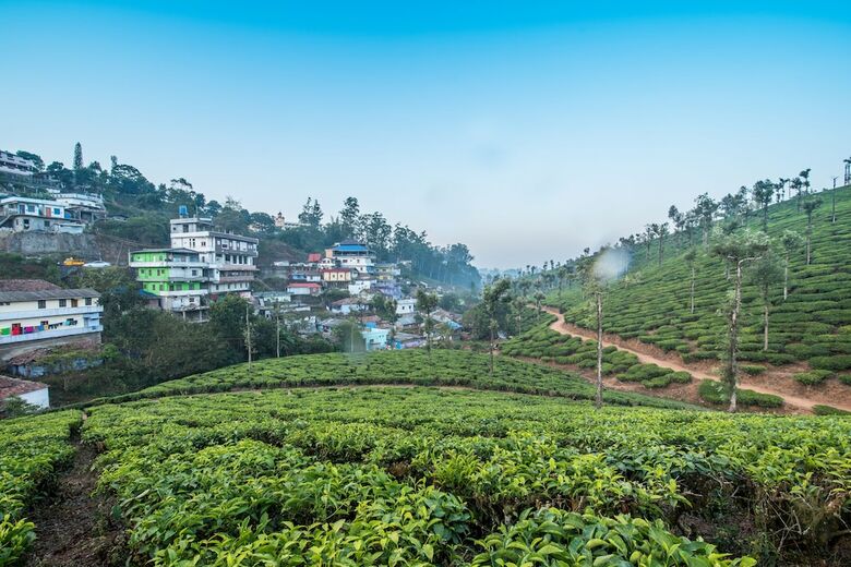 Hotel Maryland Homestay