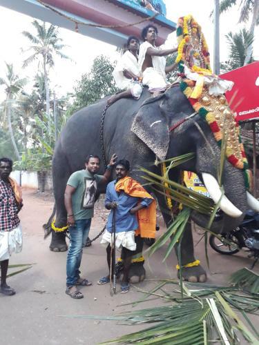 Archana Beach Homestay Varkala