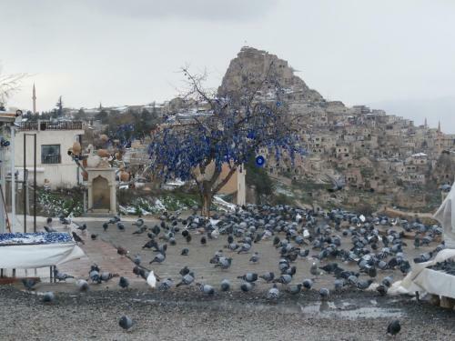 Hostal Erciyes Pension