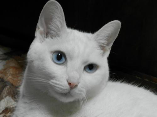 Bed & Breakfast Natural House Pure 21