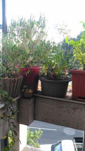 Apartamento Prakrutika