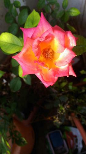 Apartamento Prakrutika