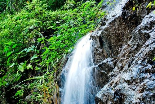 Sanjose Holiday Home Resort,virajpet