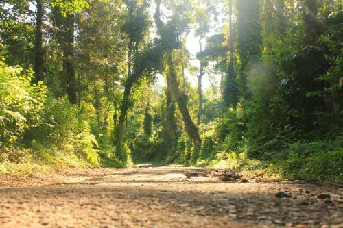 Sanjose Holiday Home Resort,virajpet