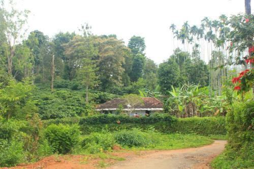 Sanjose Holiday Home Resort,virajpet