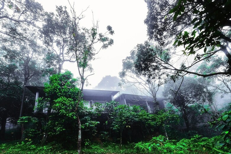 Hotel Wayanad Wild - Cgh Earth
