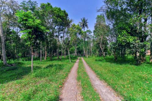 Apartamentos Exotic 1bhk Home Near Sultan Bathery