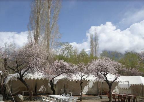 Bed & Breakfast Royal Deluxe Camp - Nubra