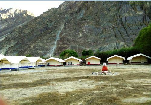 Tih Shyok Camp - Nubra