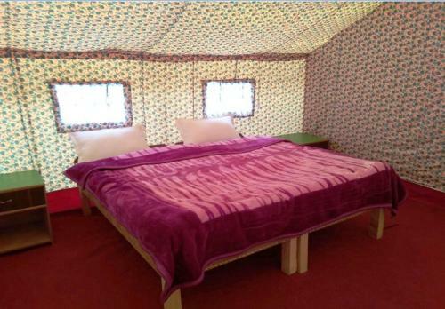 Tih Shyok Camp - Nubra