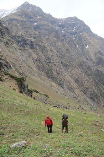 Tirthan Hilltop-great Himalayan National Park