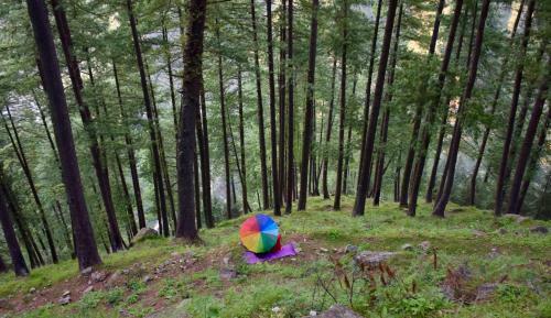 Hotel Kudrat - A Boutique Homestay