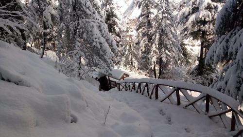 Hotel Kudrat - A Boutique Homestay
