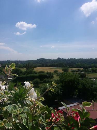 Bed & Breakfast Le Vigne Sull?adda