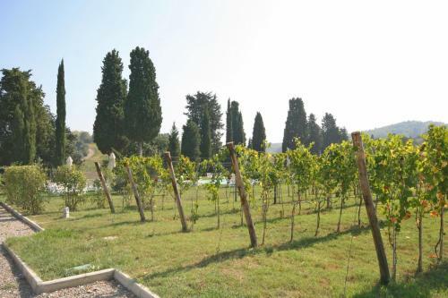 Empoli Apartment Sleeps 4 Air Con
